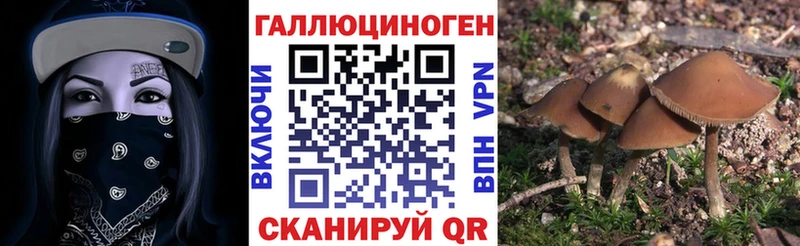 Псилоцибиновые грибы мухоморы  Купить закладки  Кемь 