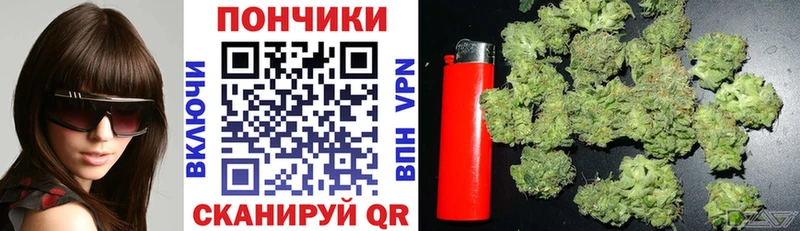 Бошки Шишки VHQ  Купить  Кемь 